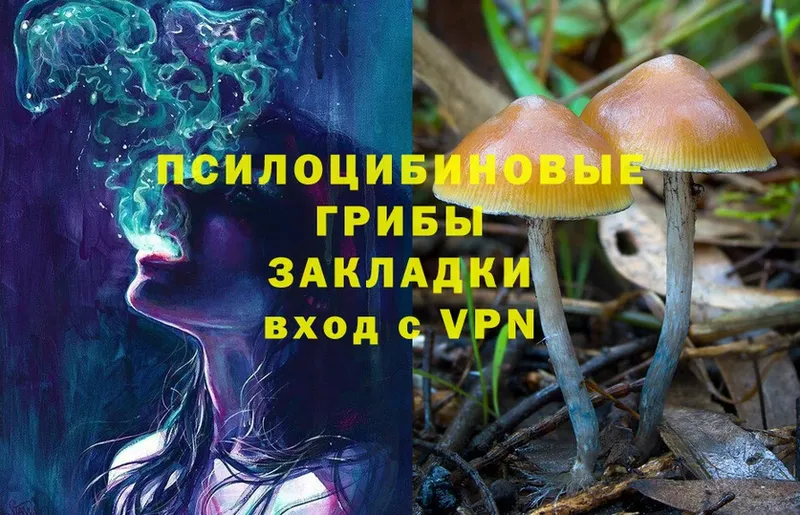 Галлюциногенные грибы Psilocybine cubensis  купить наркотики сайты  Гремячинск 